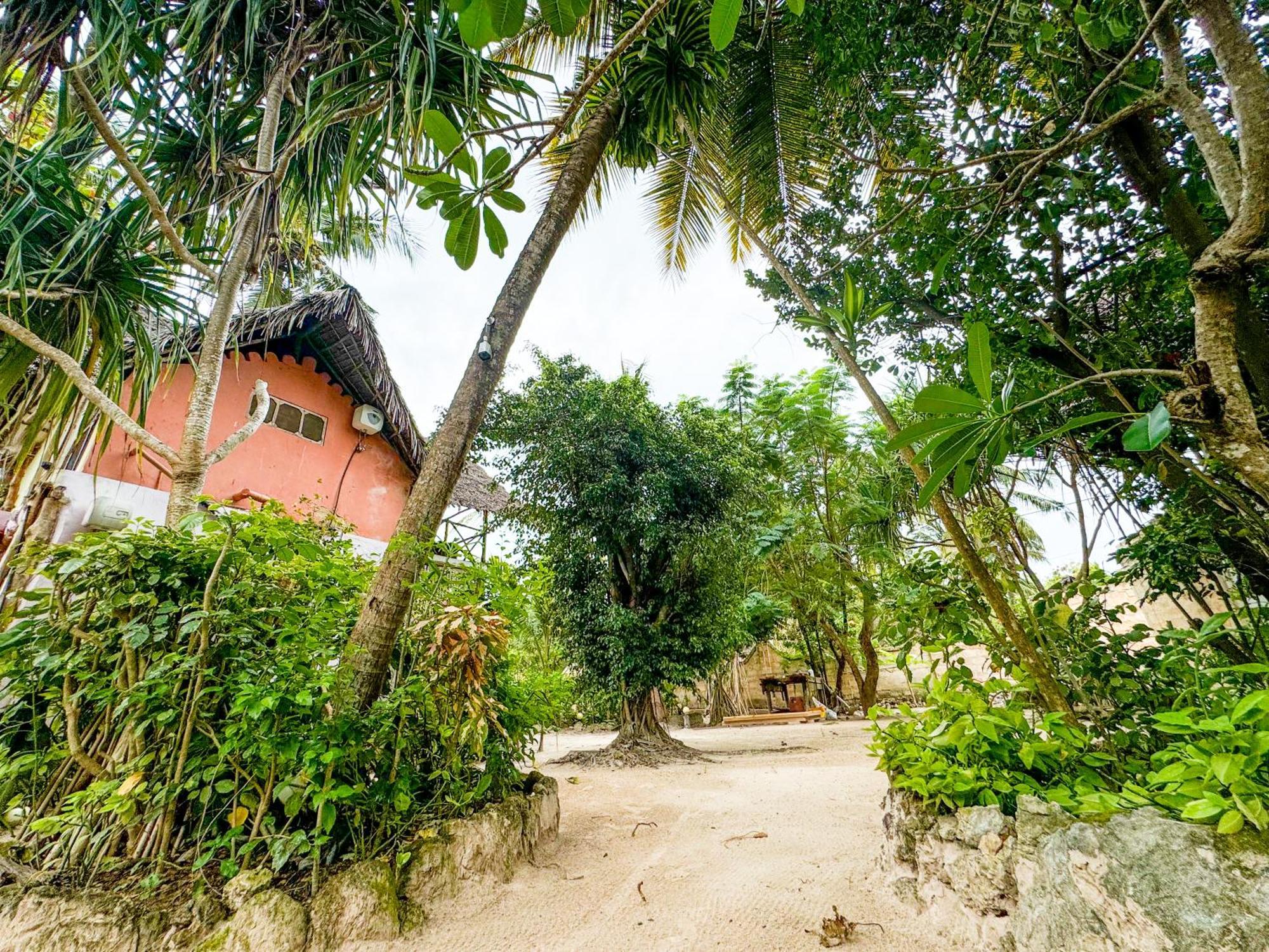 Sagando Bungalows Zanzibar Michamvi Kae Экстерьер фото